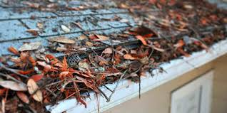 5 Ways Clogged Gutters Can Damage Your Home